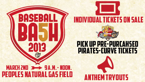 BaseballBash2013x480